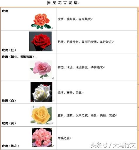 芷的含義|【芷意思】「芷」的深意：揭秘一個芳香四溢的名字含義 – 每日新。